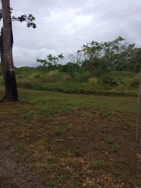 Melhor Área 11 Hectares Industrial, 241m de Beira, Pista Guabiraba, Instalação Empresas - Foto 7