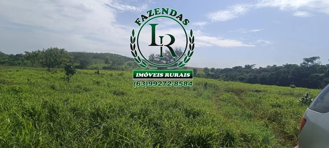 Fazenda 18 Alqueires Próximo a Palmas - Foto 5