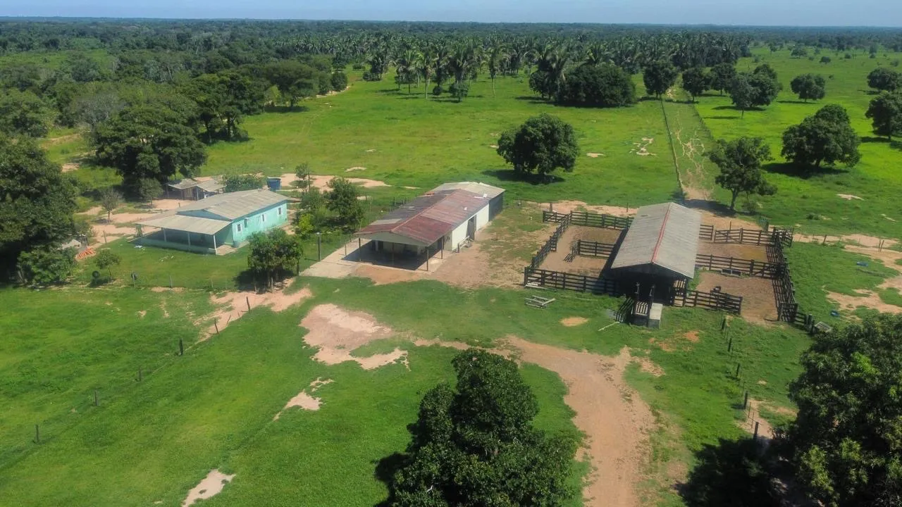 FAZENDA PECUARIA 305 HECT STO ANTÔNIO LEVERGER