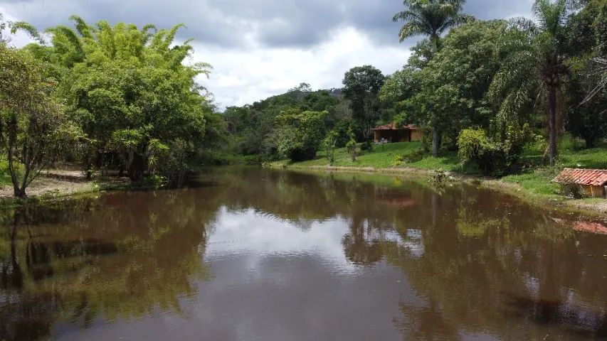 Foto - Mateus Leme - 
