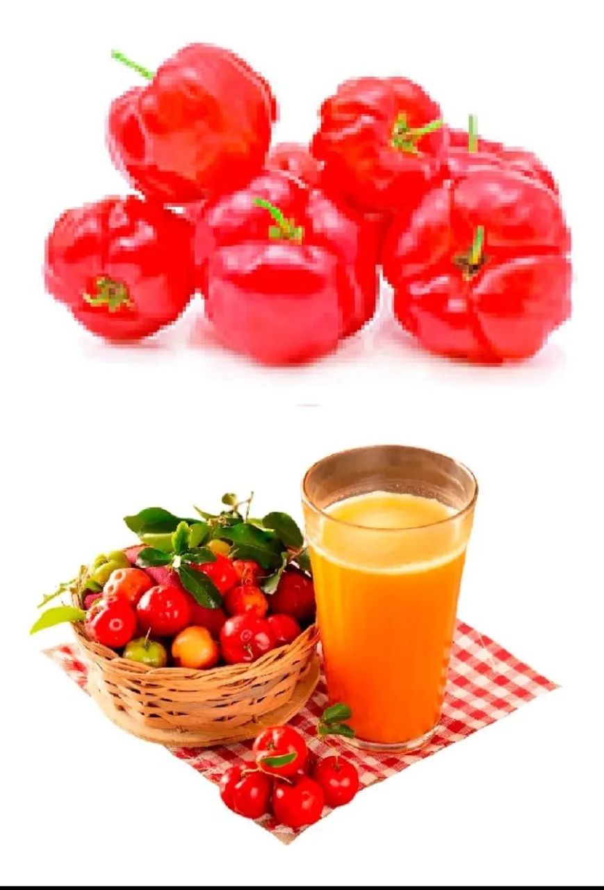 1Muda de Acerola -manoasweet - Foto 3