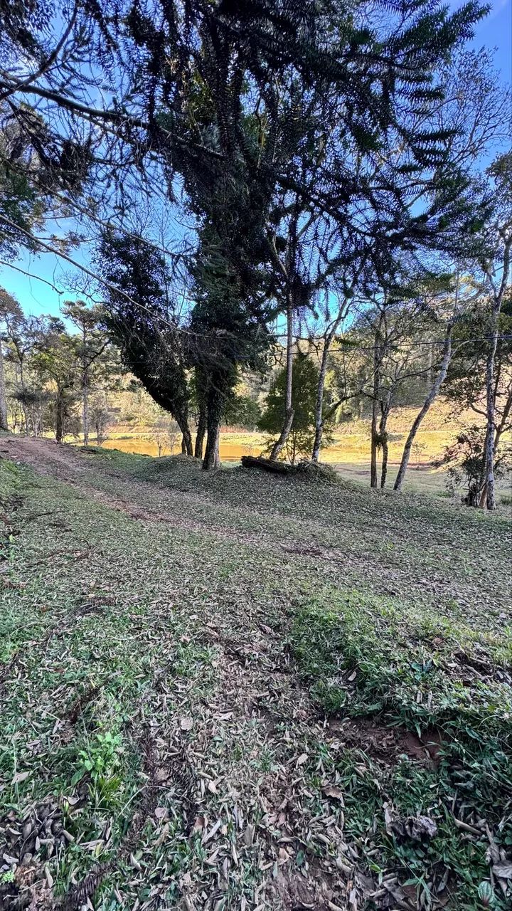 Chácara R$35.000 - Foto 8