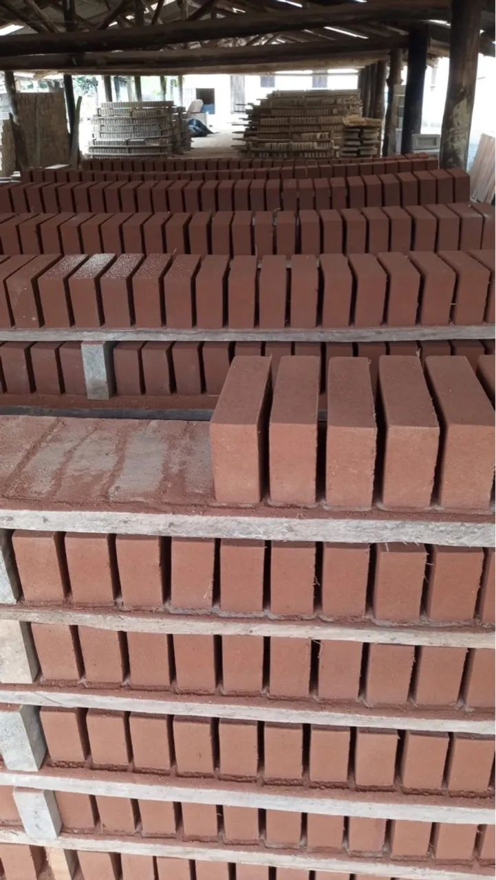 Tijolinho primeira linha 