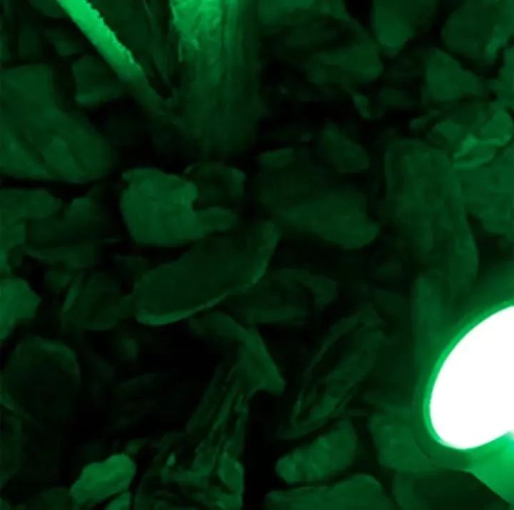 Espeto de Jardim 7W - Luz Focada - Para uso externo - Foto 4