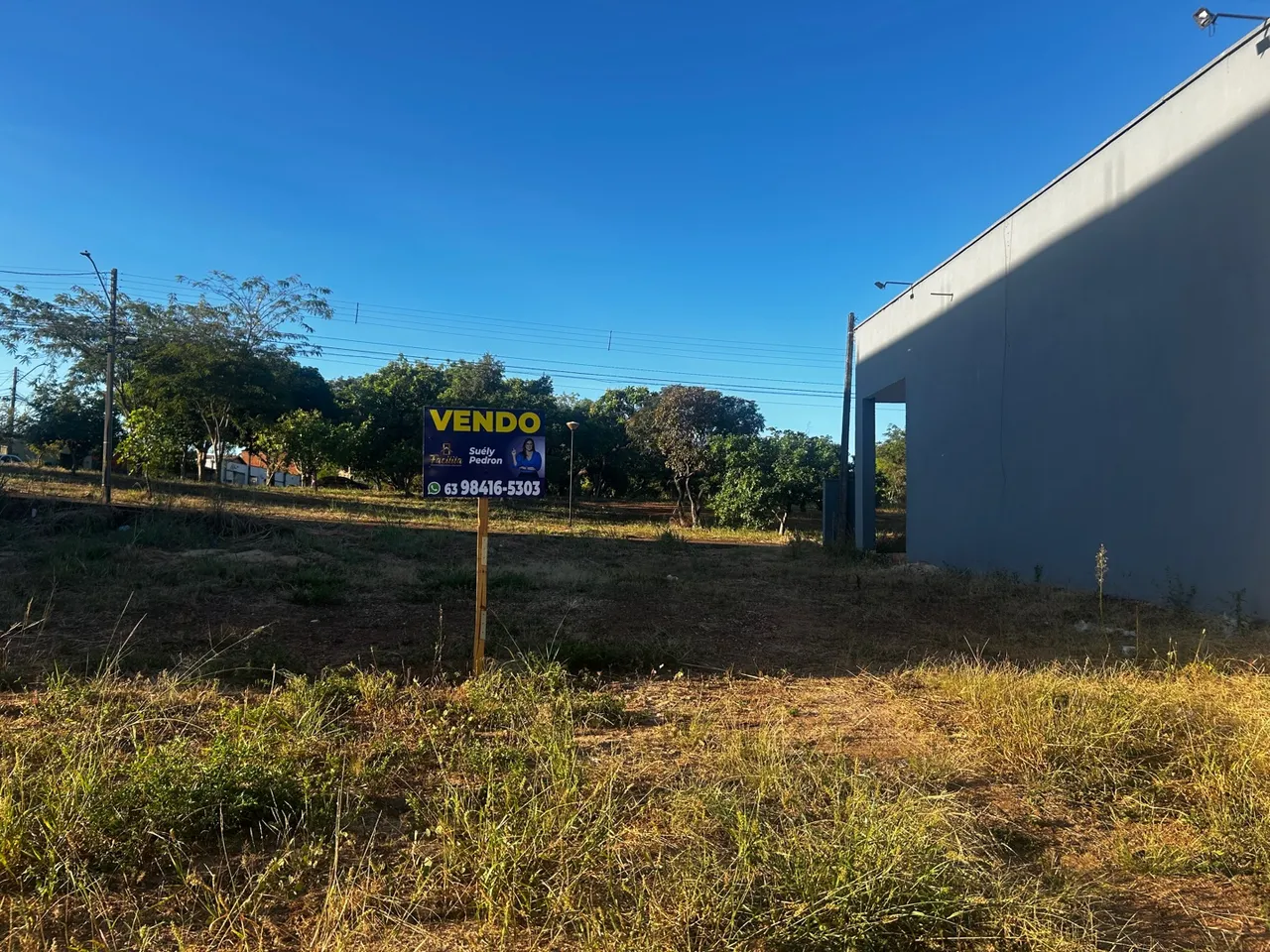 Lote Comercial na LO 12
