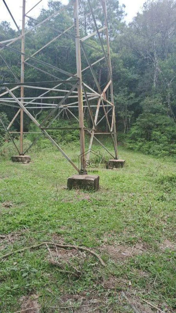 Sítio à venda, 3 quartos, Massiambú - Palhoça/SC - Foto 2