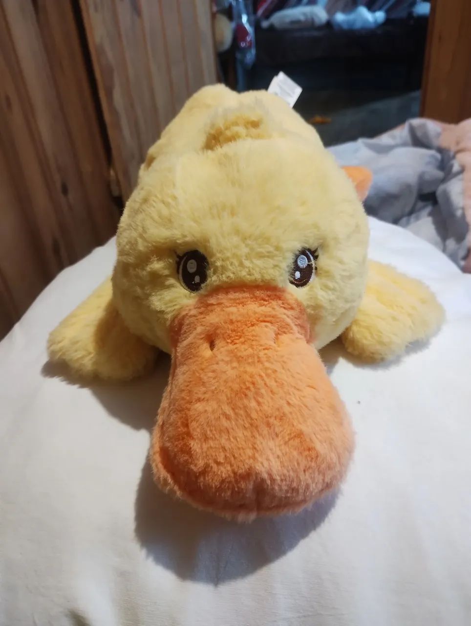 Pato pelúcia 