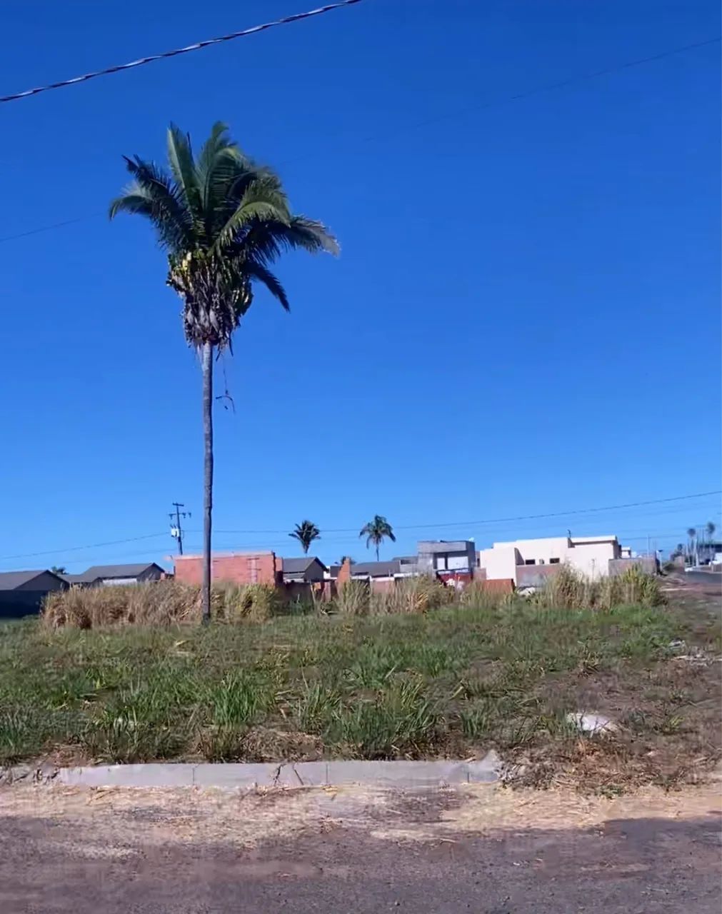 Terreno comercial lago sul  - Foto 2