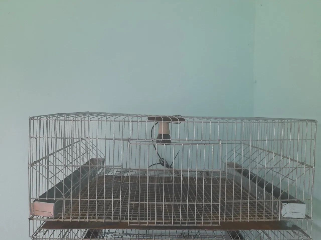 Viveiro com 3 gaiola 750$ santo André  - Foto 2