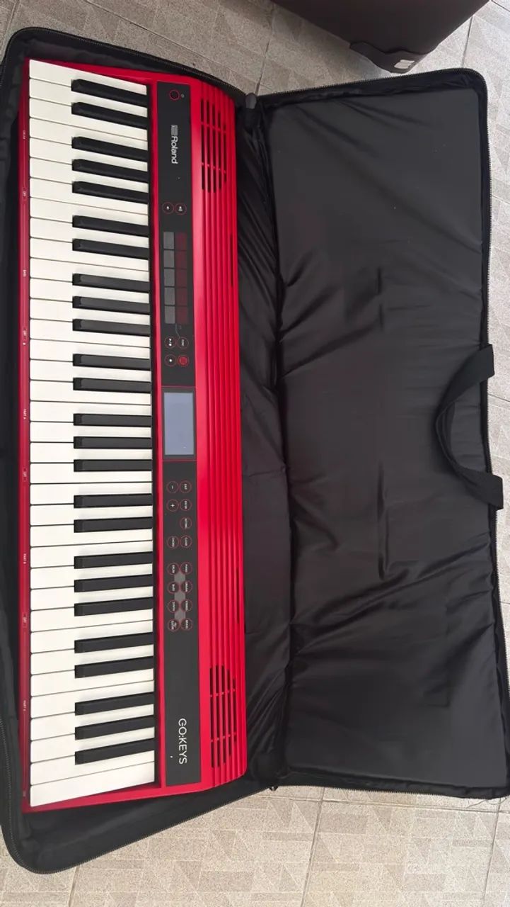 Roland Go Keys Usado c/ capa e cabo 