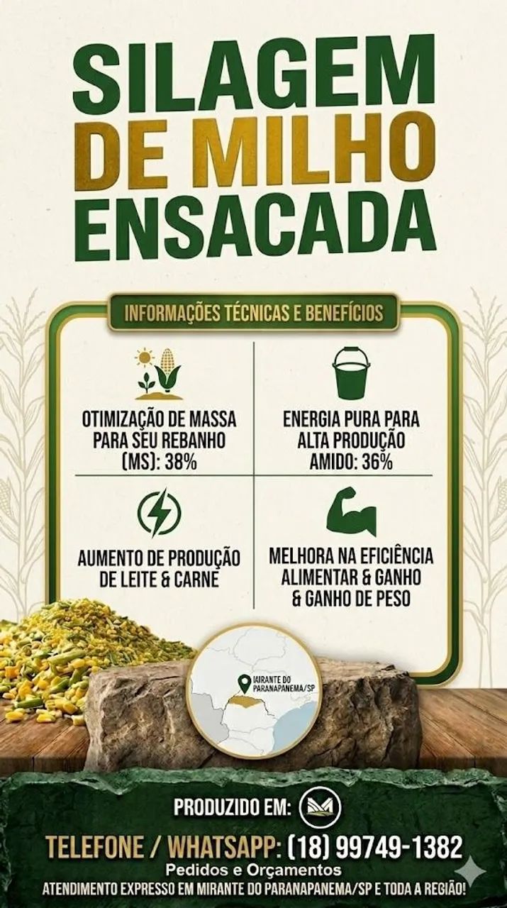Silagem de Milho Planta Inteira! - Foto 3