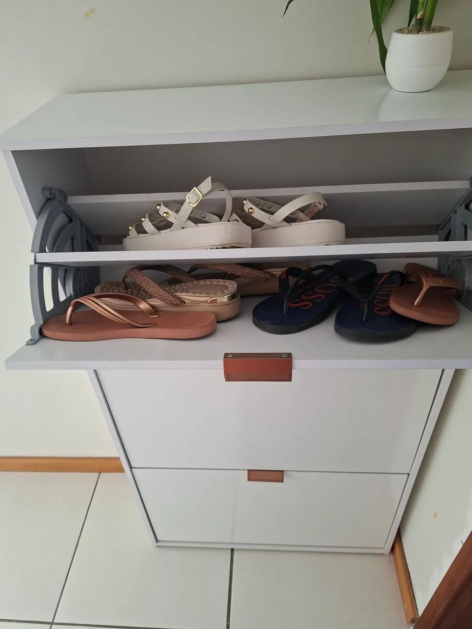 Sapateira! - Foto 2