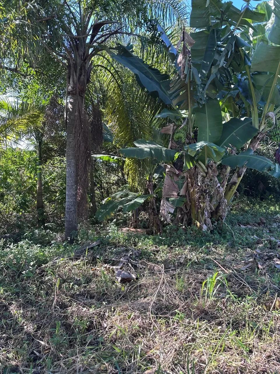 Terreno em Itajuba - Foto 4