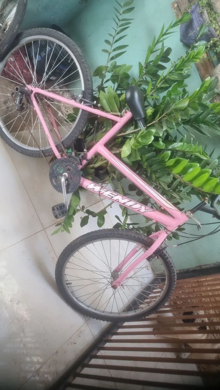Vende -se Duas bicicletas... 300,00 cada