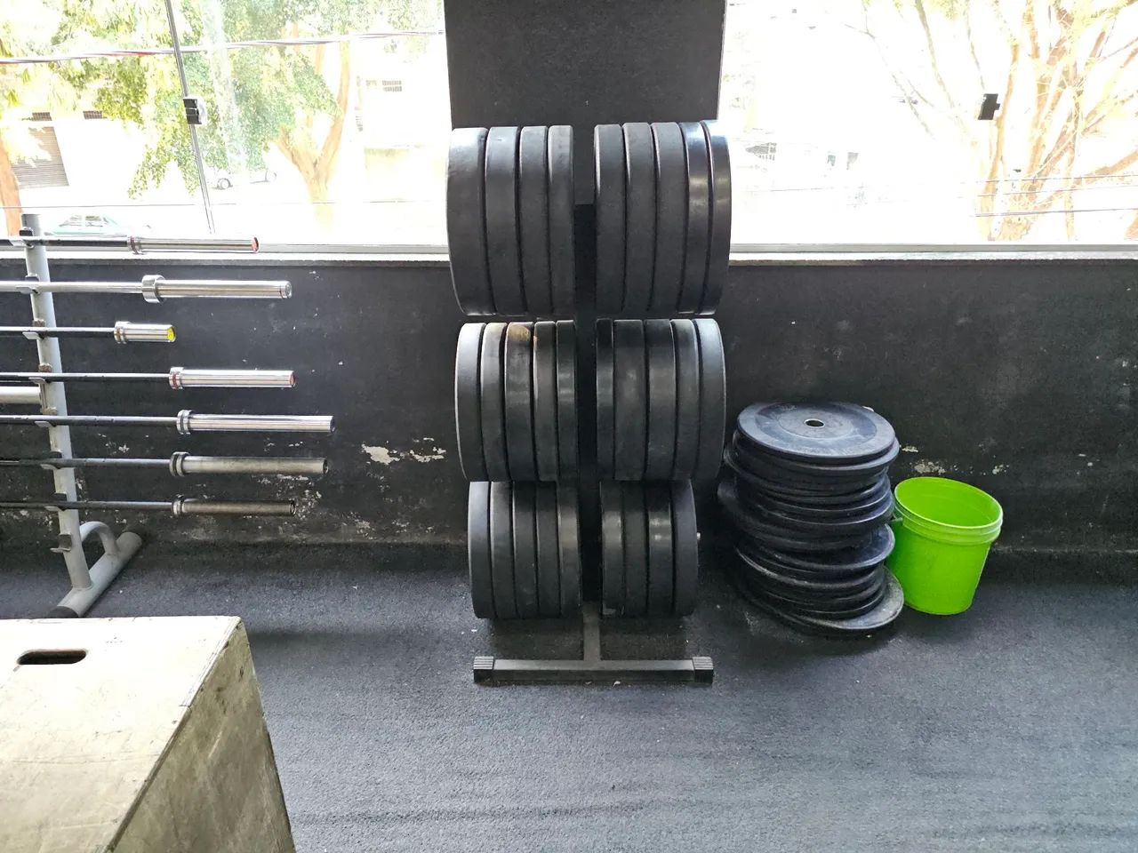 Anilhas olímpicas bumper Crossfit 
