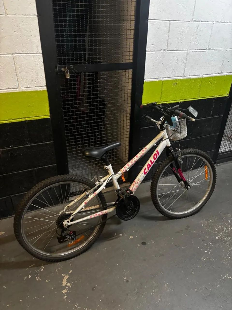 Bicicleta Ceci