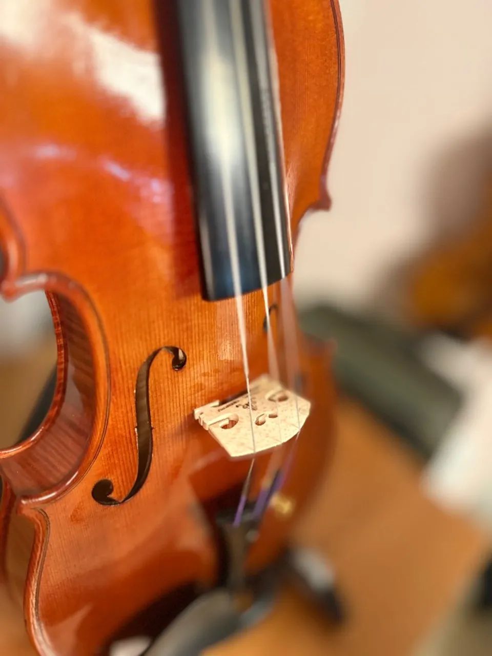 Violino Luthier André Amaral 2020 - Foto 2