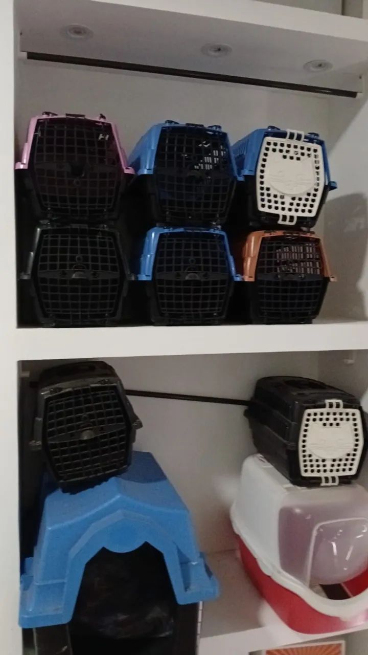 Casinha para Cachorro - Foto 2