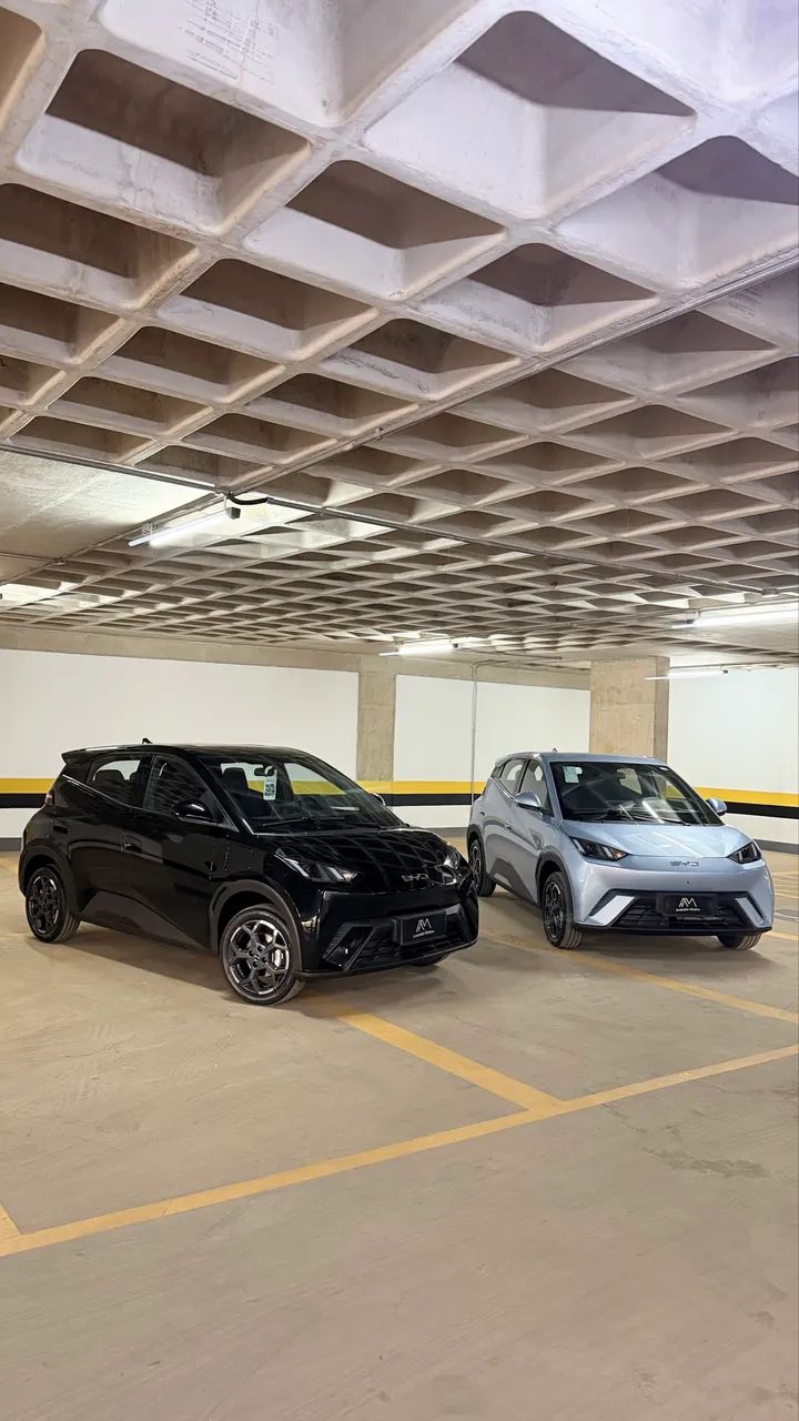 BYD Dolphin Mini (Elétrico) 2027 - Foto 3