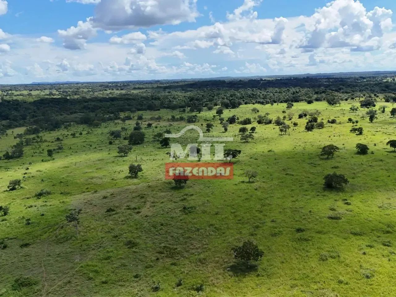 Fazenda 150 Alqueires (726 hectares) Crixás - GO - Foto 3