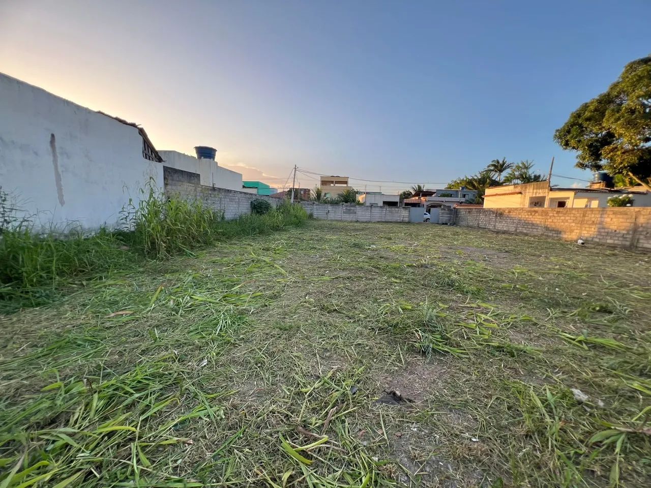 Limpeza de terrenos (roçadeira) - Foto 5