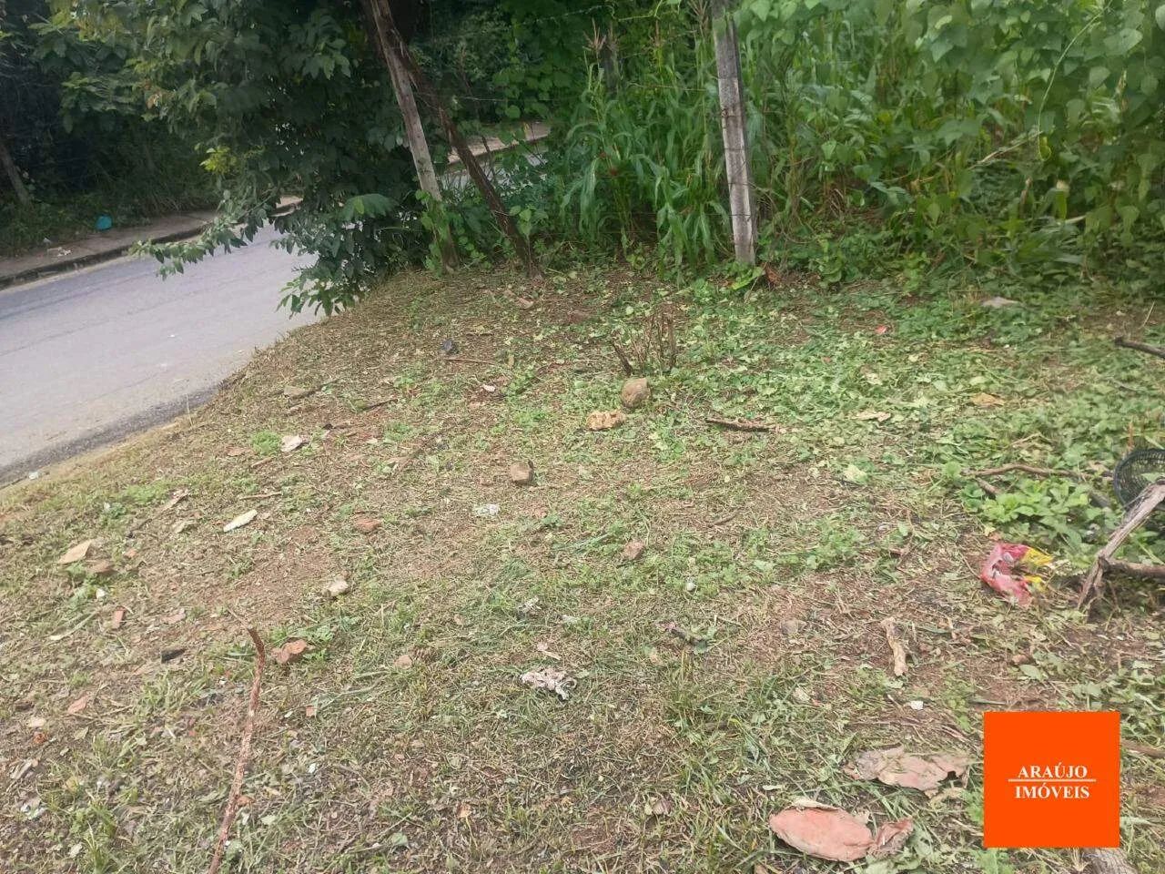 LOTE COM 435,16M2 EM SÃO JOSÉ DA LAPA-MG - Foto 3
