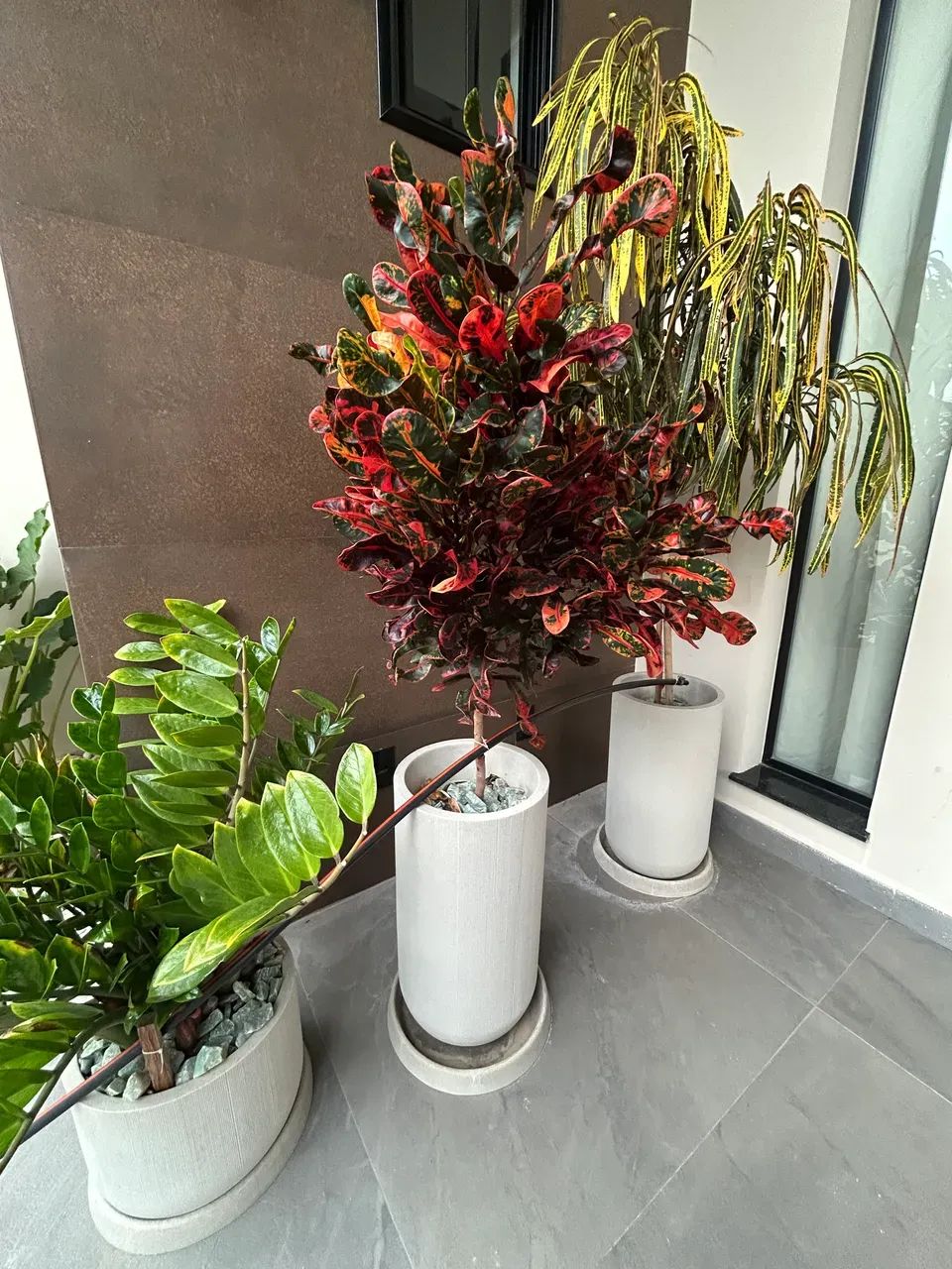 Casa Alto Padrão toda mobiliada com 4 quartos - Foto 4