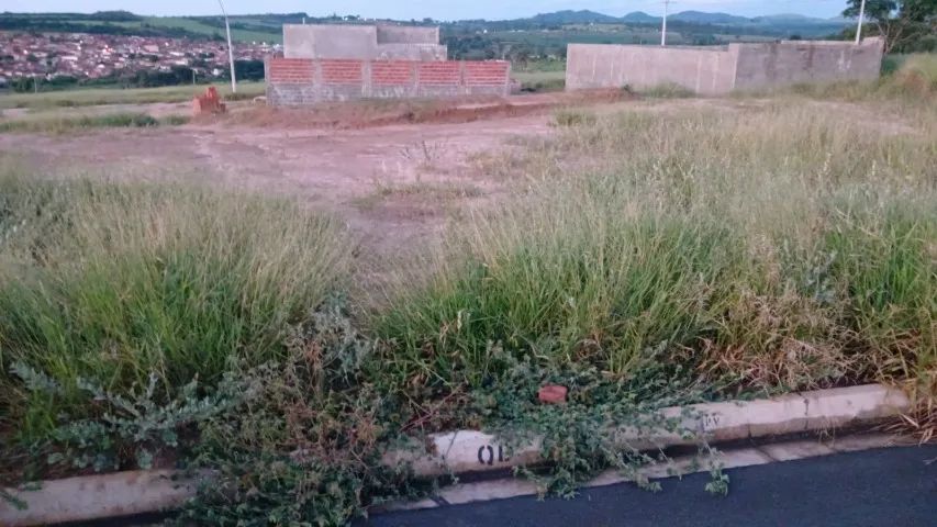 Foto - Cajuru - 