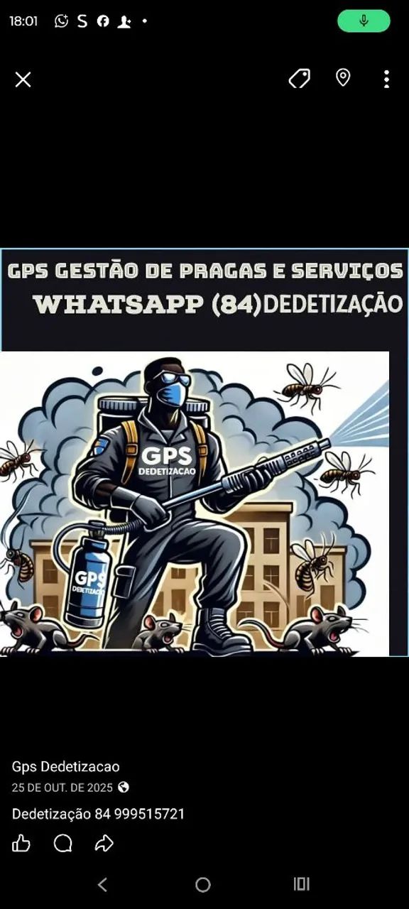 Desinsetizacao profissional  - Foto 2