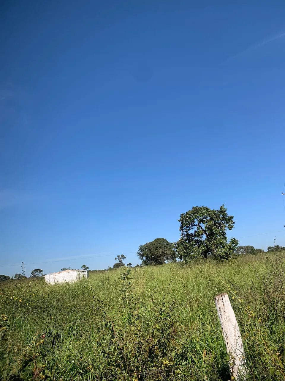 ARRENDAMENTO TERRENO - Foto 5