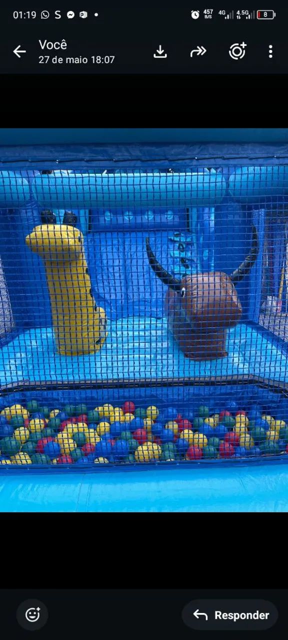 Brinquedo inflável - Foto 2