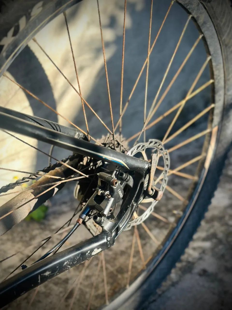 BICICLETA CALOI