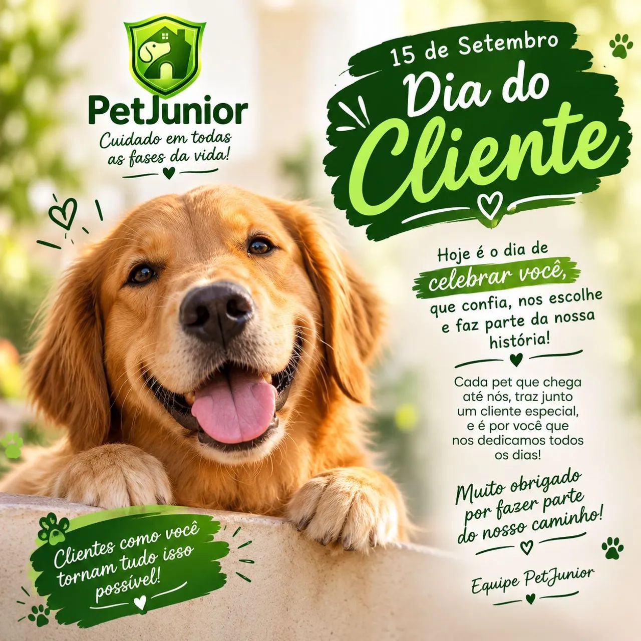 Hospedagem Domiciliar pet  - Foto 4
