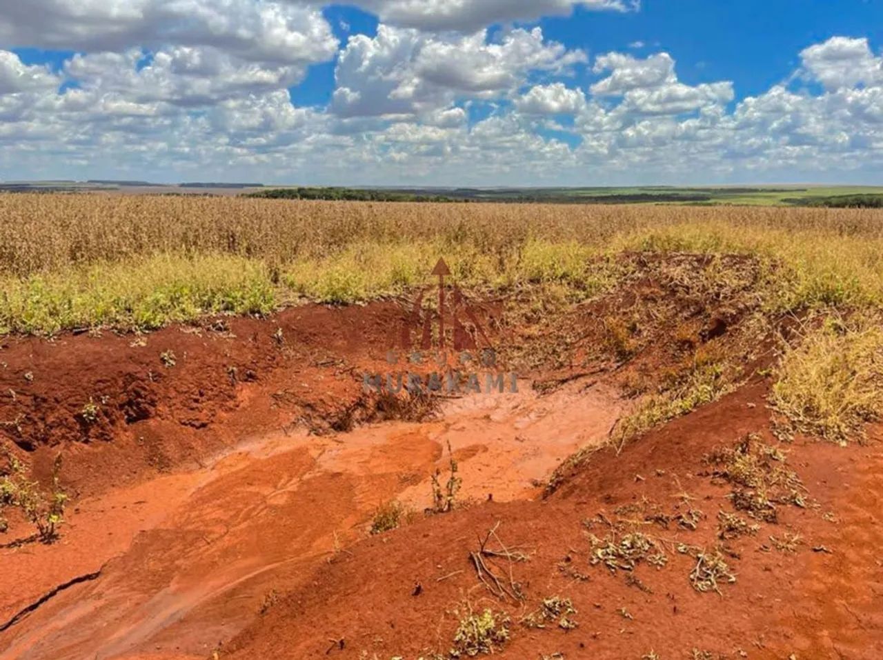 FAZENDA - DOURADOS - MS - Foto 4