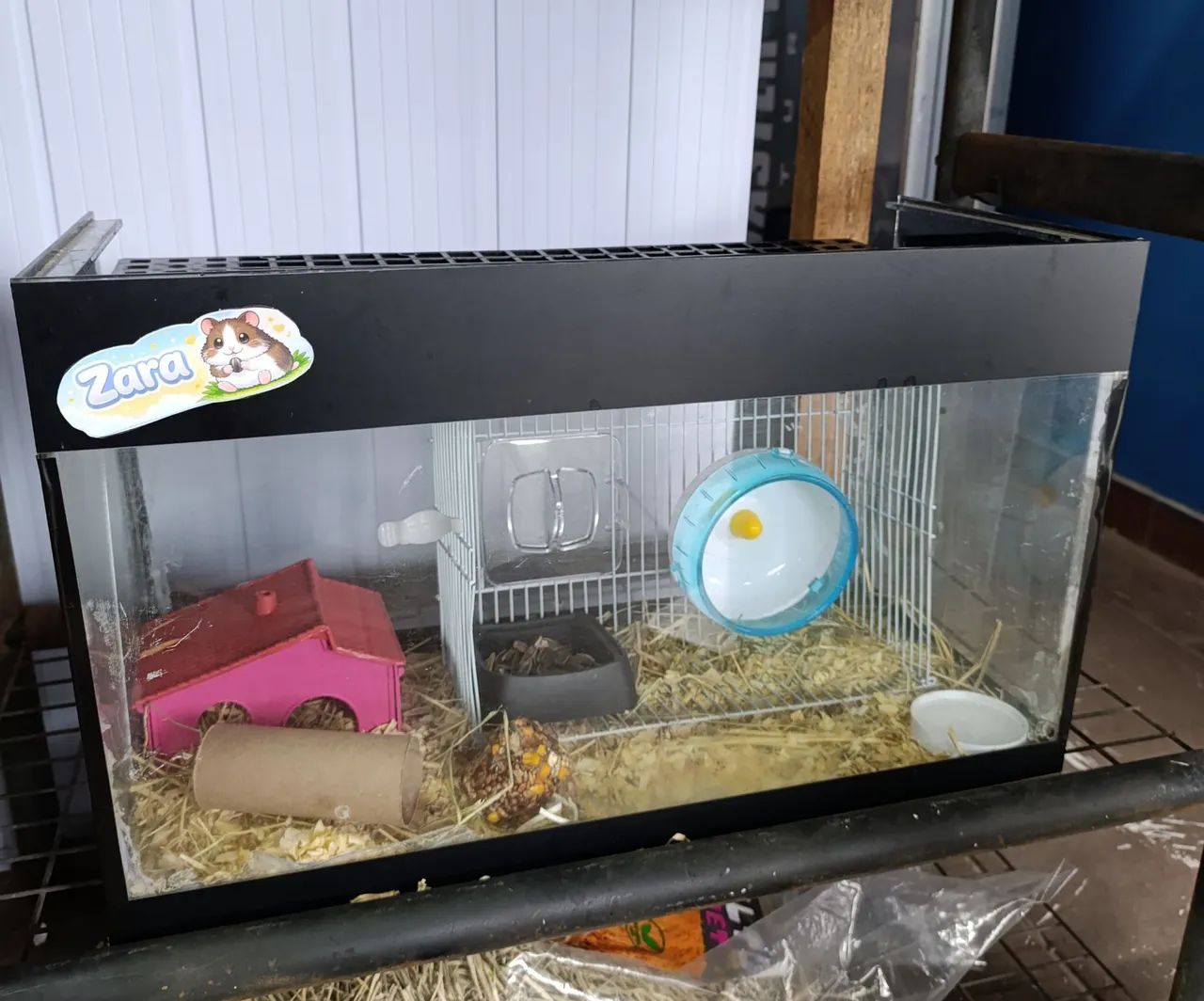 Terrário com hamster anão russo  - Foto 2