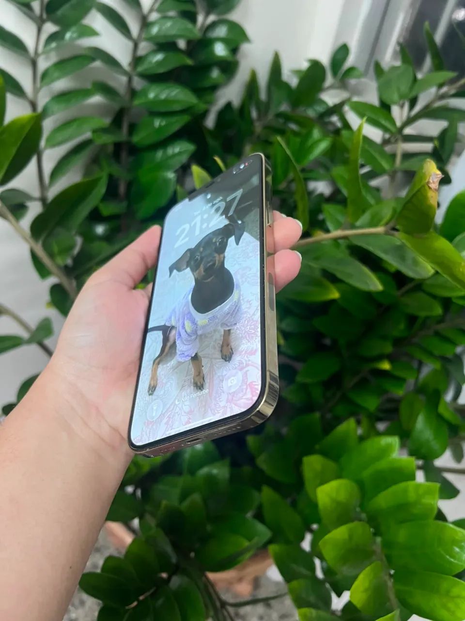iPhone 12 Pro Max  - Foto 3