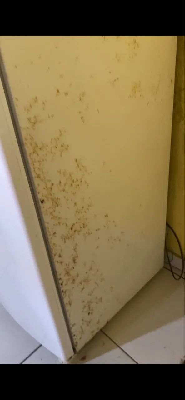 Vendo gela quando quer. - Foto 2
