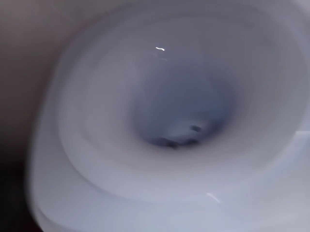 Bebedouro Britânia  - Foto 2