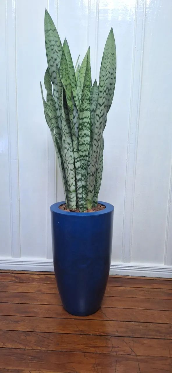 Vaso com espada de São Jorge 