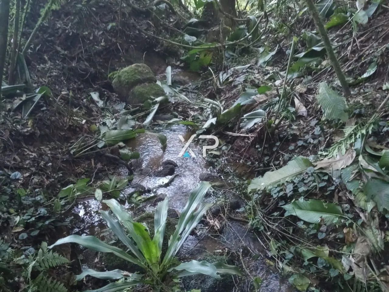 Sítio l Em Anitópolis a venda | - Foto 5