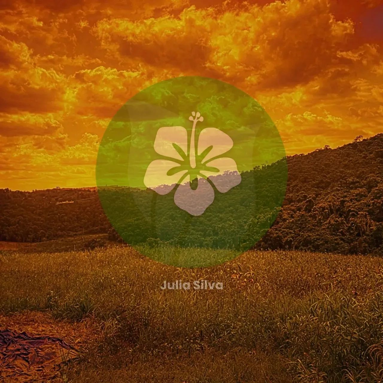 Lotes para venda possui 1000 metros quadrados em Colégio - Ibiúna - SP