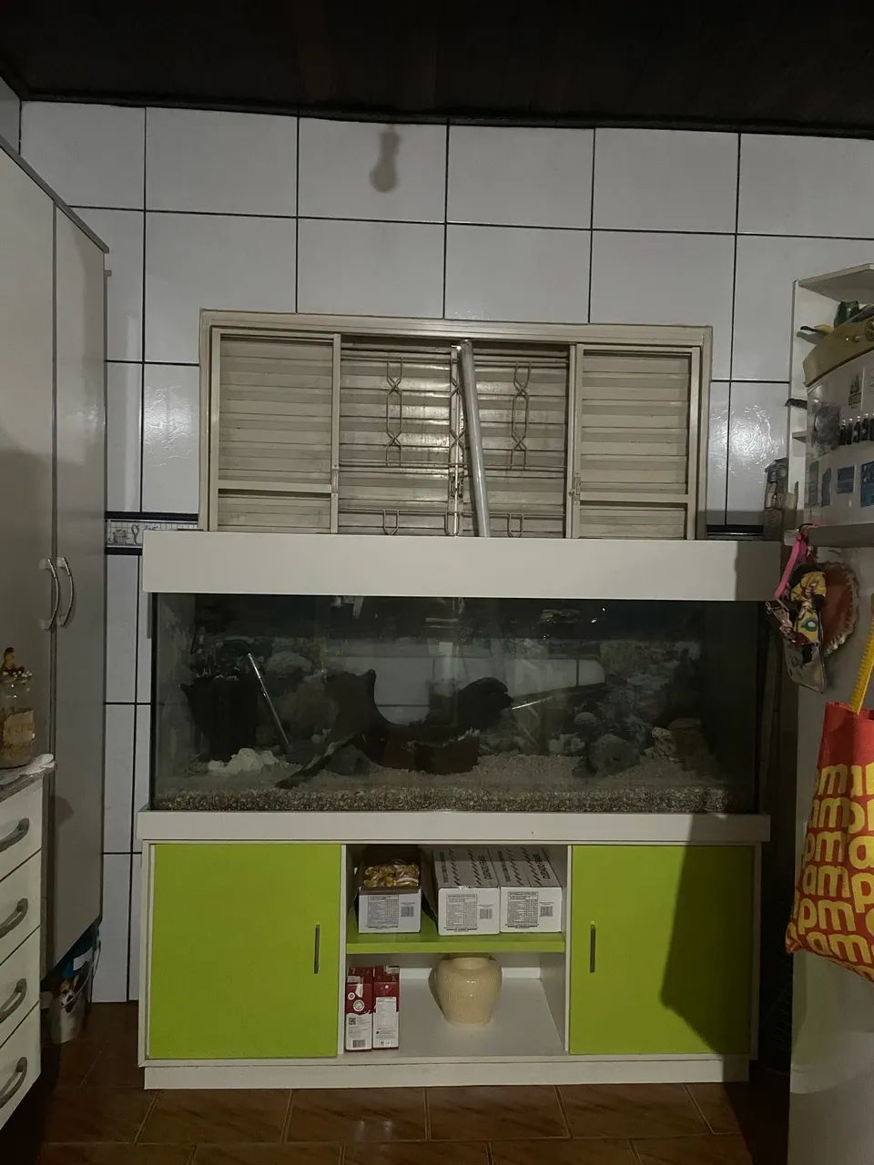 Áquario Marinho - Foto 3
