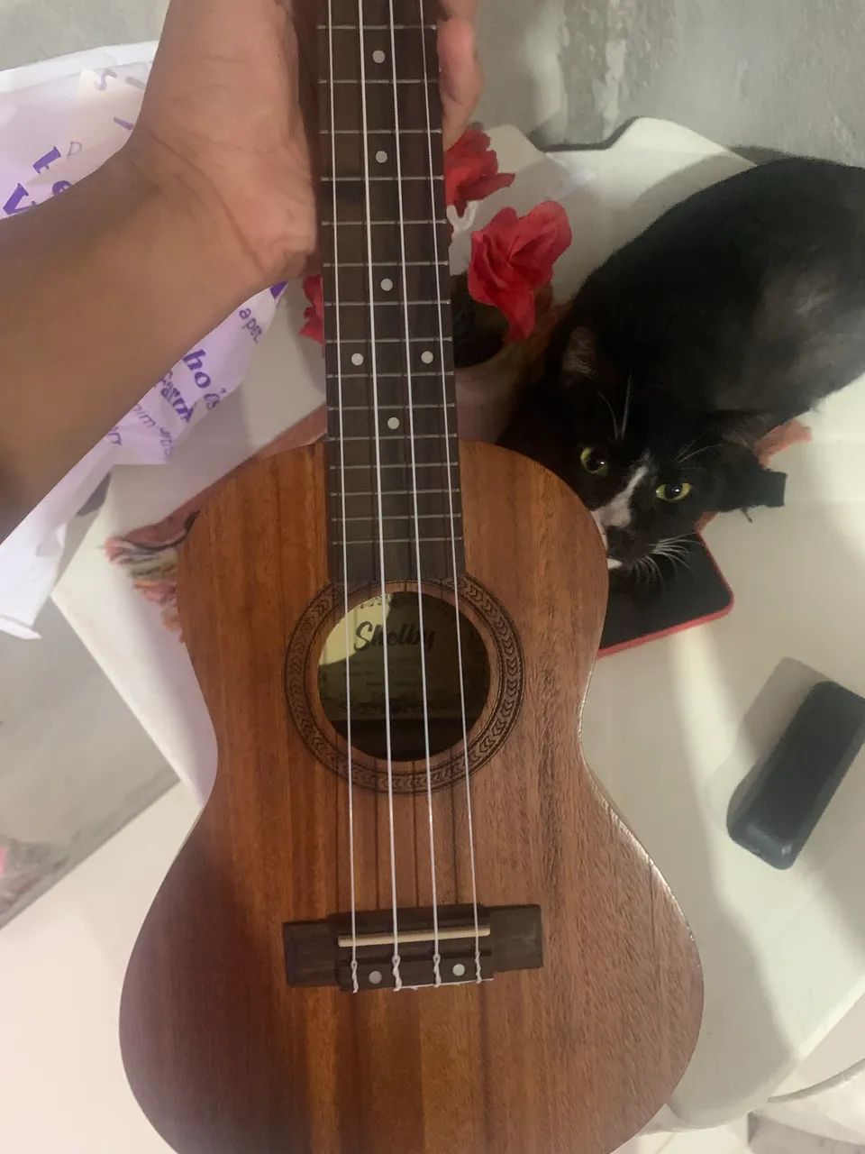 Ukulele 64962156257794120