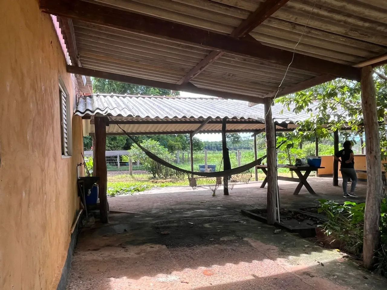Sitio com 16 hectares, sendo 12 hectares formadas, 59 km da cidade de Várzea Gra - Foto 5
