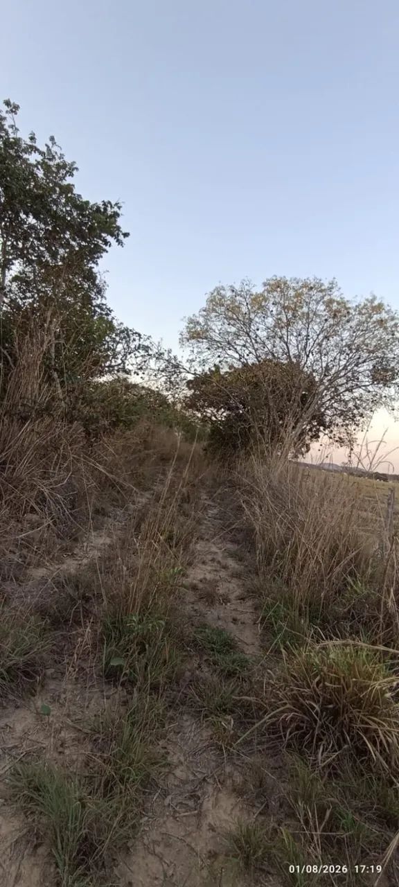 Sítio em Rosário Oeste - MT. 13 Hectares