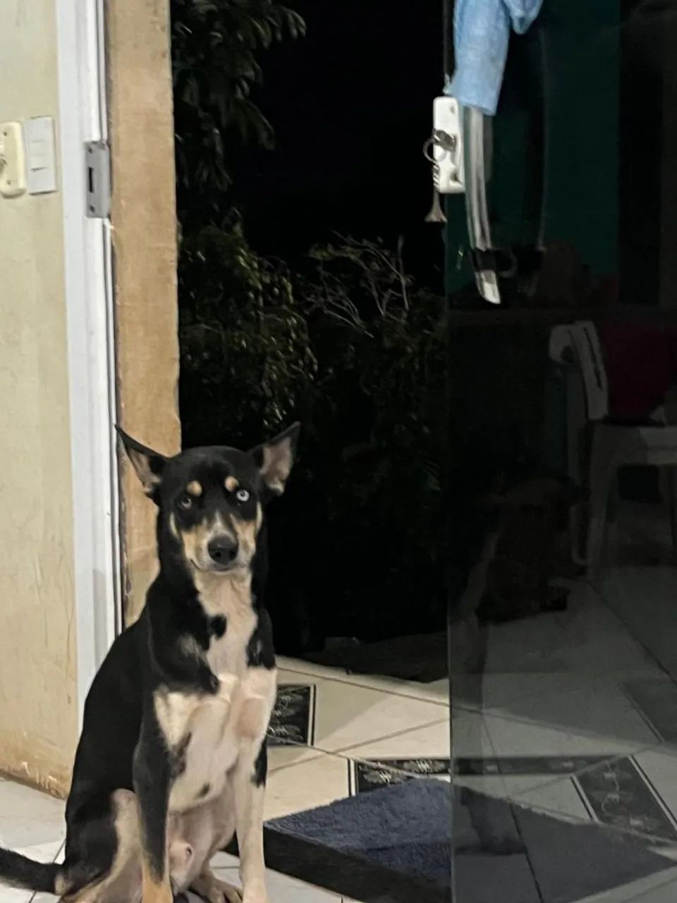Vendo 