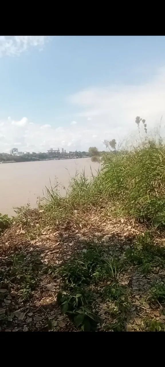 Boa