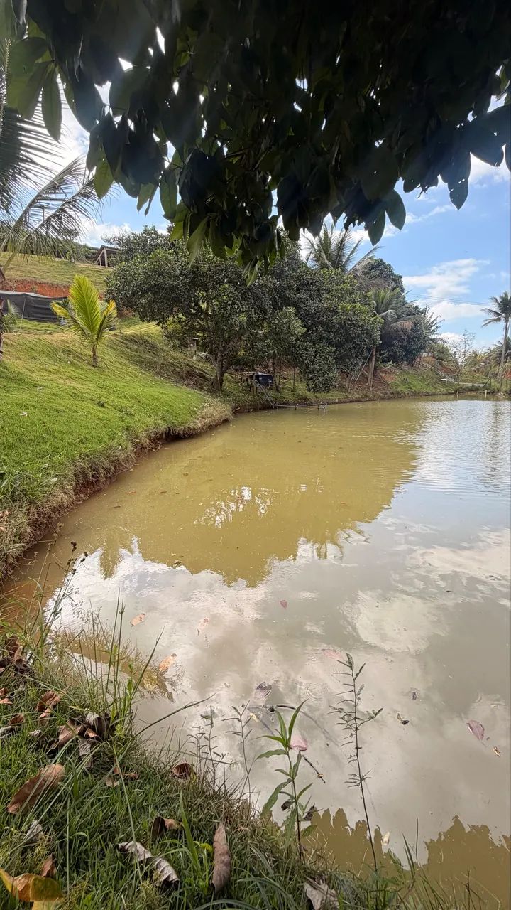 Chácara em Fundão vendo ou troco ! - Foto 3