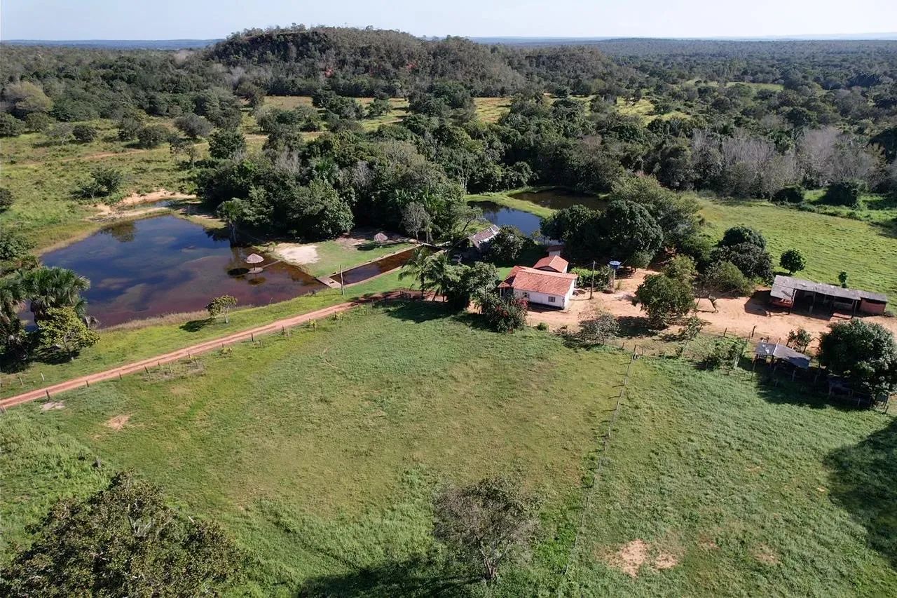 Fazenda 42 alqueires a 28km de Araguaína  - Foto 4