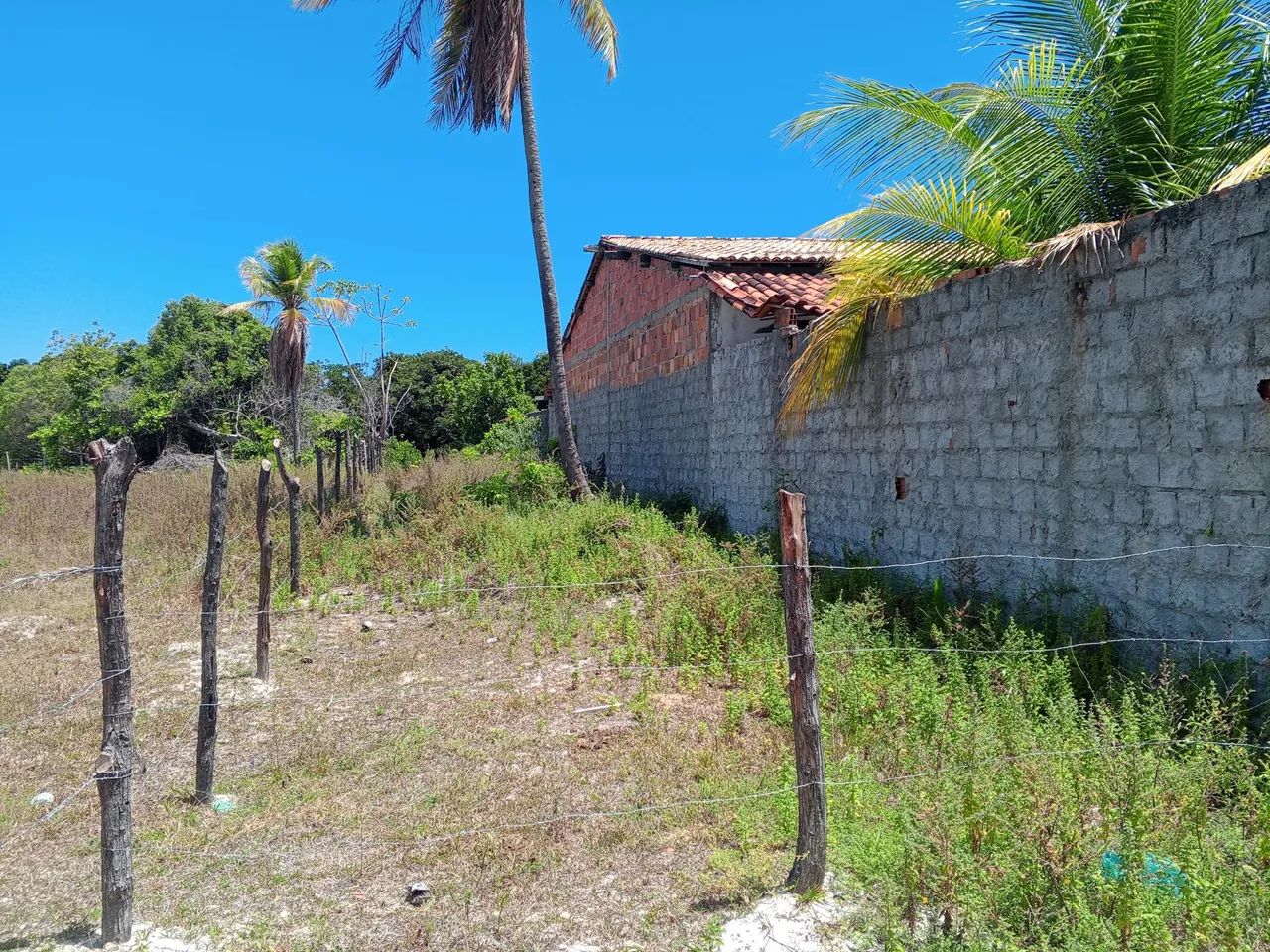 Próximo a manre e manguezais 